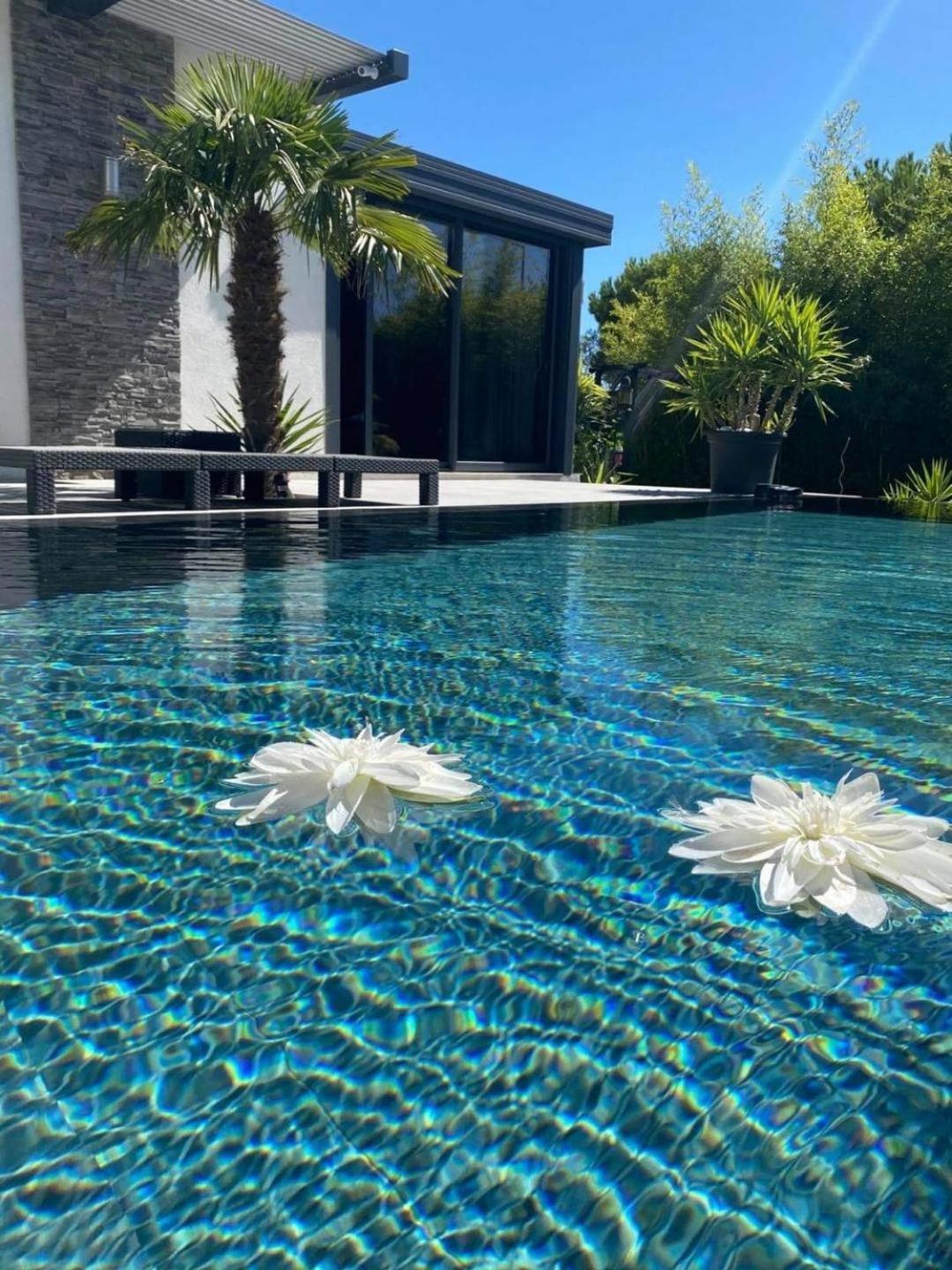 Mon Petit Bali Bed & Breakfast มูสซาน-เลส์-อัลพีล์ส ภายนอก รูปภาพ
